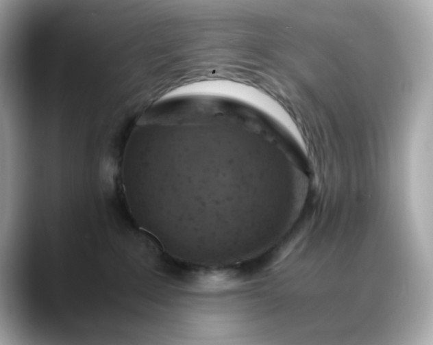 X0000088440235200706051254