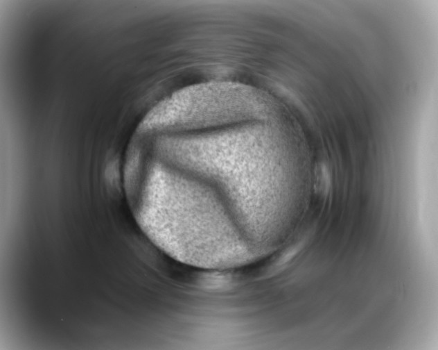 X0000088440238200706051254