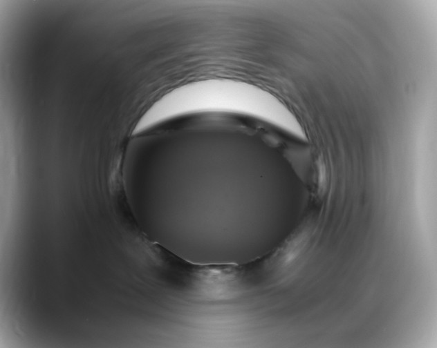 X0000088440239200706051254