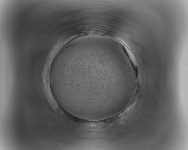 X0000088440241200706051253