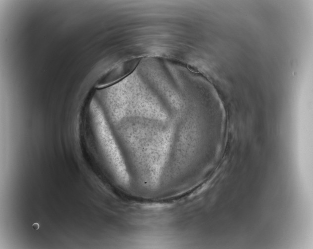 X0000088440242200706051253