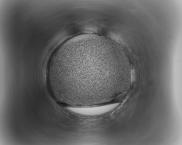 X0000088440243200706051253