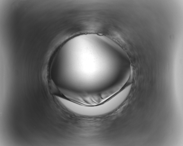 X0000088440244200706051253