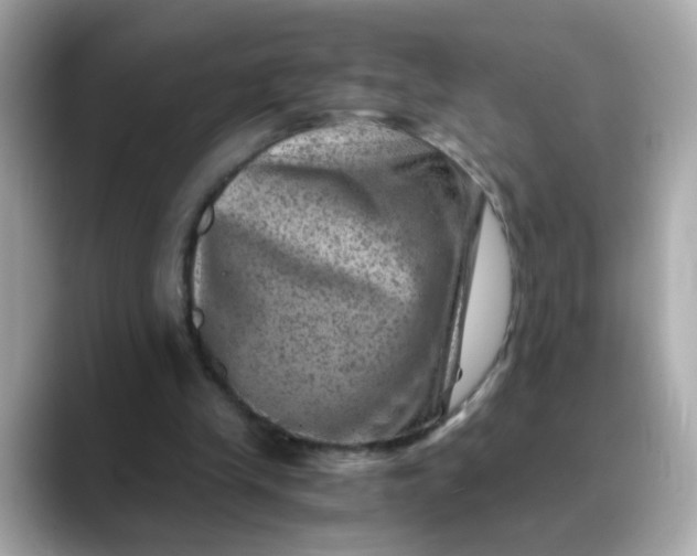 X0000088440245200706051253