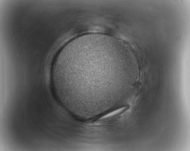 X0000088440247200706051253