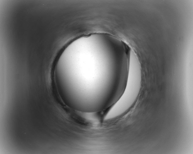 X0000088440248200706051253