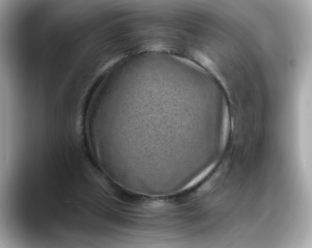 X0000088440249200706051253