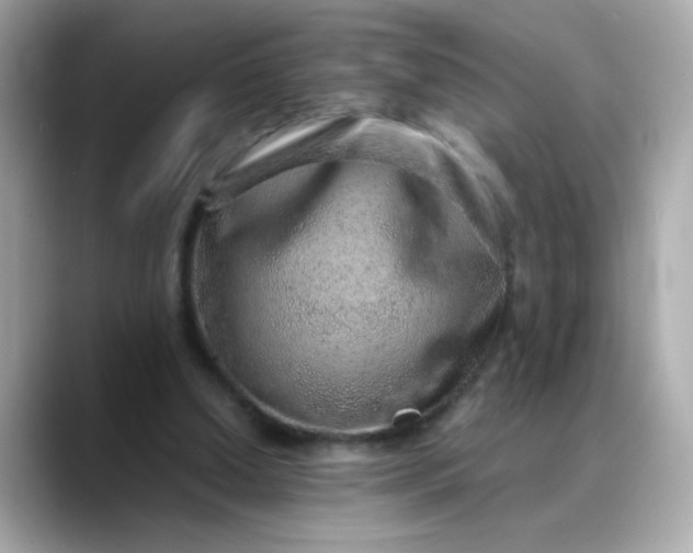 X0000088440250200706051253