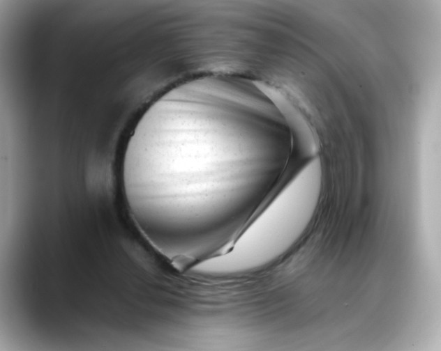 X0000088440252200706051253
