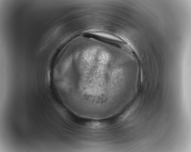 X0000088440253200706051253