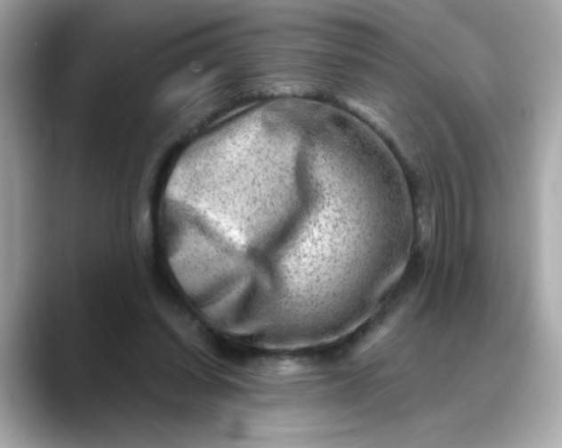 X0000088440254200706051253