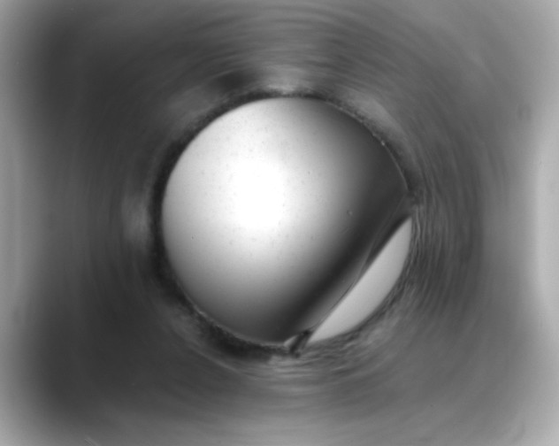 X0000088440256200706051253
