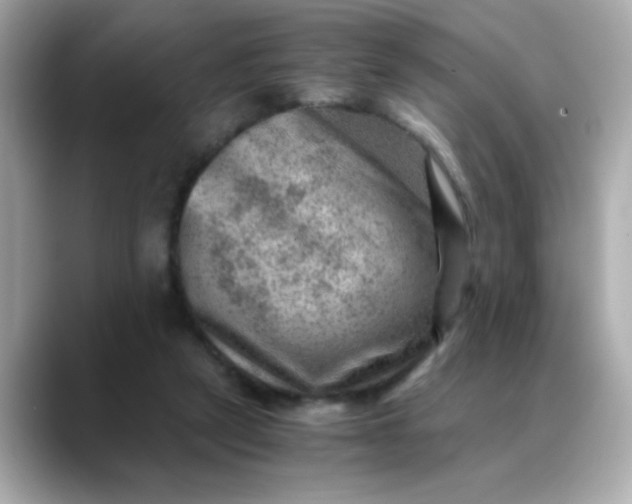 X0000088440257200706051253