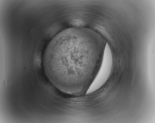 X0000088440259200706051253