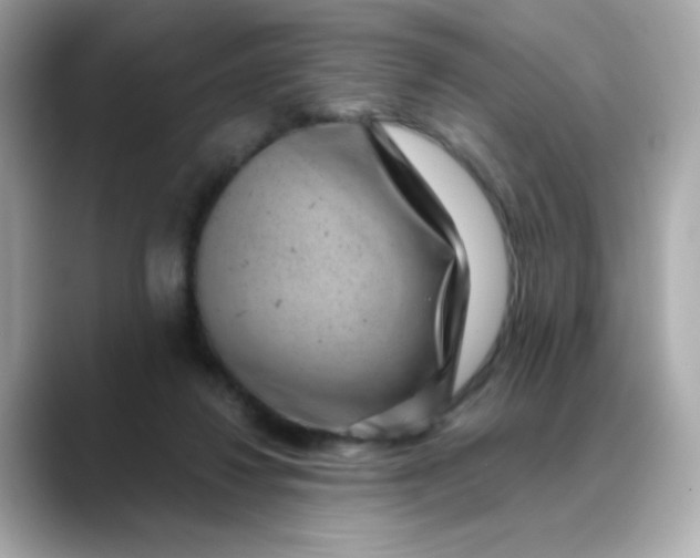 X0000088440260200706051253