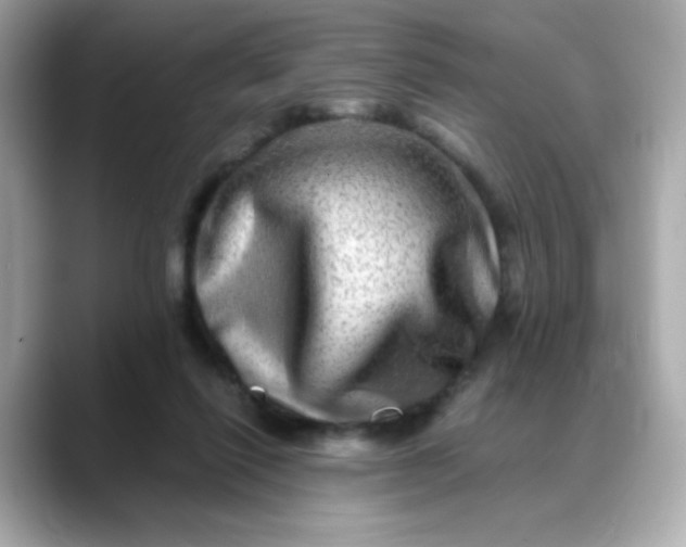 X0000088440262200706051253