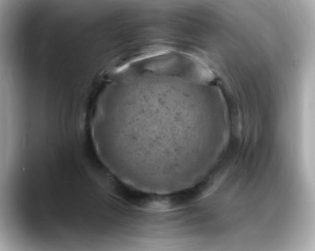 X0000088440263200706051253