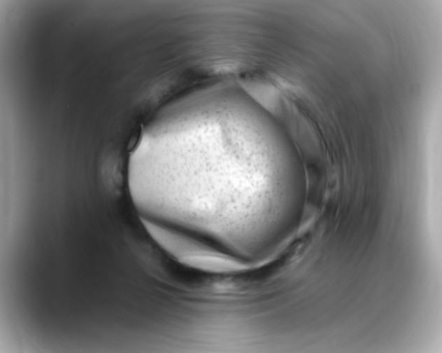 X0000088440264200706051253