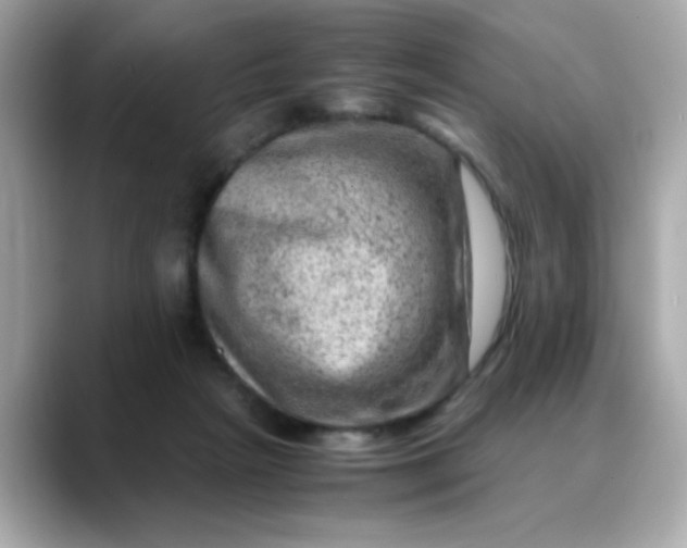 X0000088440265200706051253