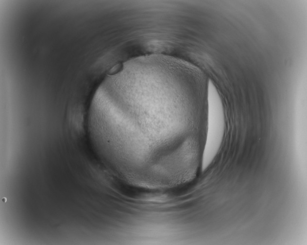 X0000088440266200706051253