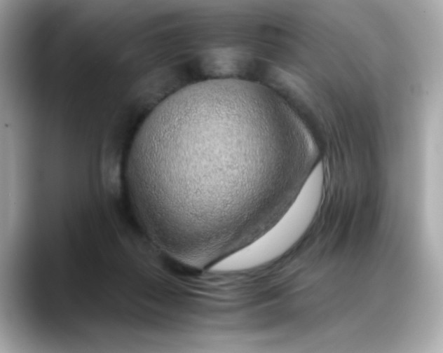 X0000088440267200706051253