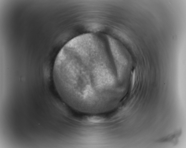 X0000088440268200706051253