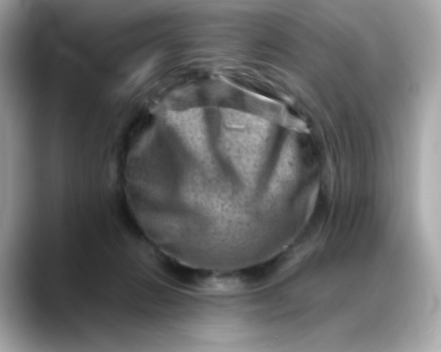 X0000088440270200706051253