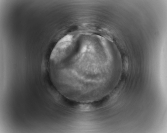 X0000088440272200706051253