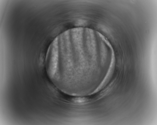 X0000088440273200706051253