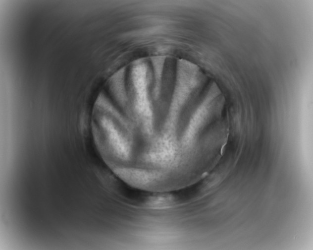 X0000088440274200706051253
