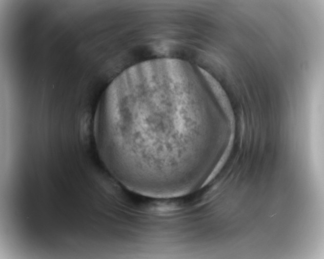 X0000088440275200706051253