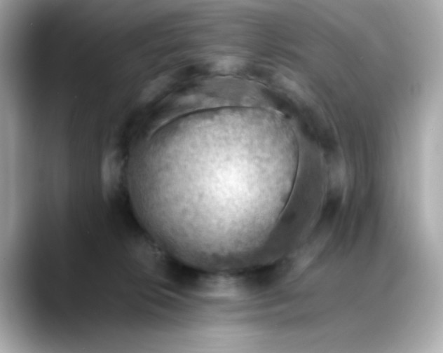 X0000088440276200706051253