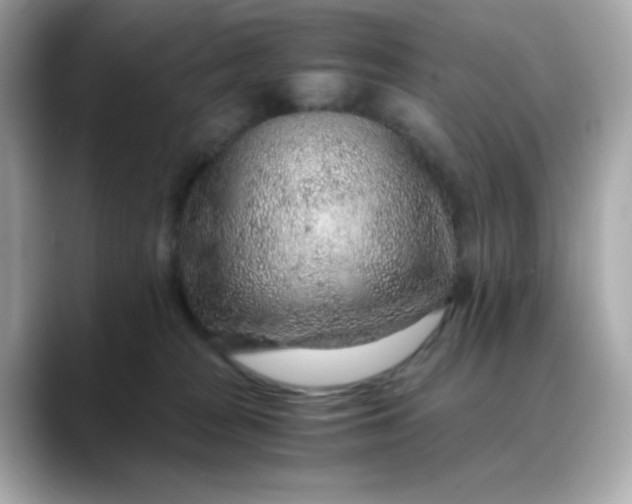 X0000088440277200706051253