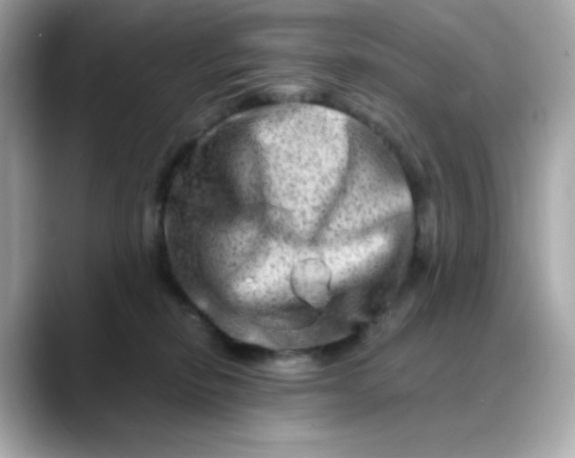 X0000088440278200706051253