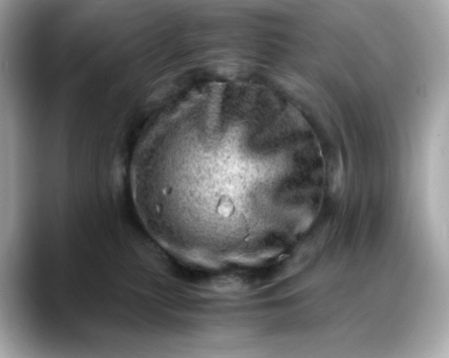 X0000088440279200706051253