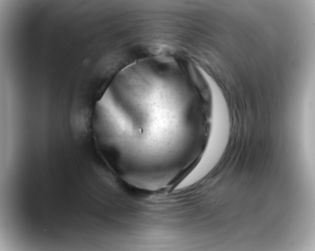 X0000088440280200706051253
