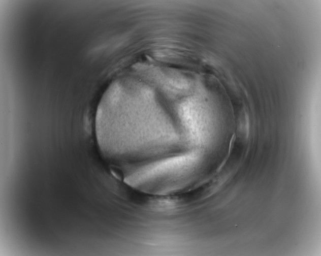 X0000088440282200706051253