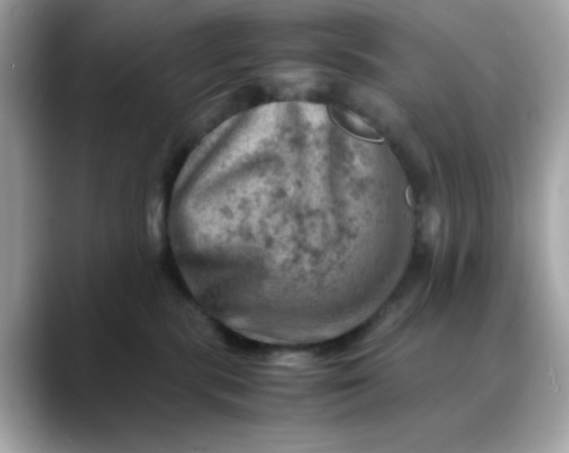 X0000088440283200706051253