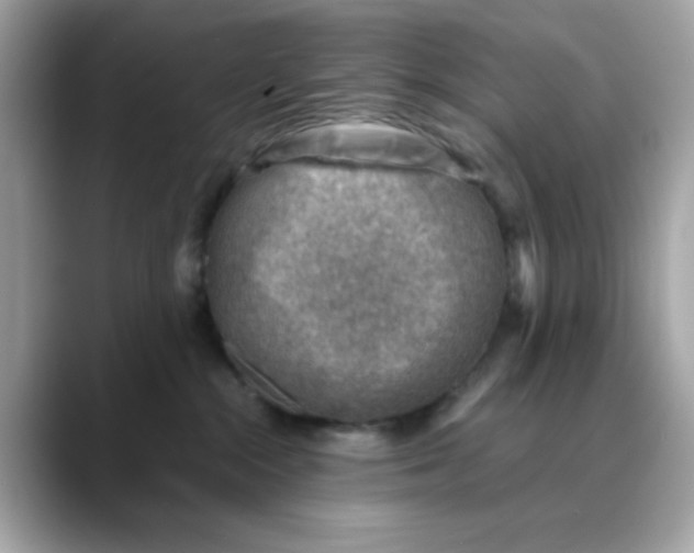 X0000088440284200706051253