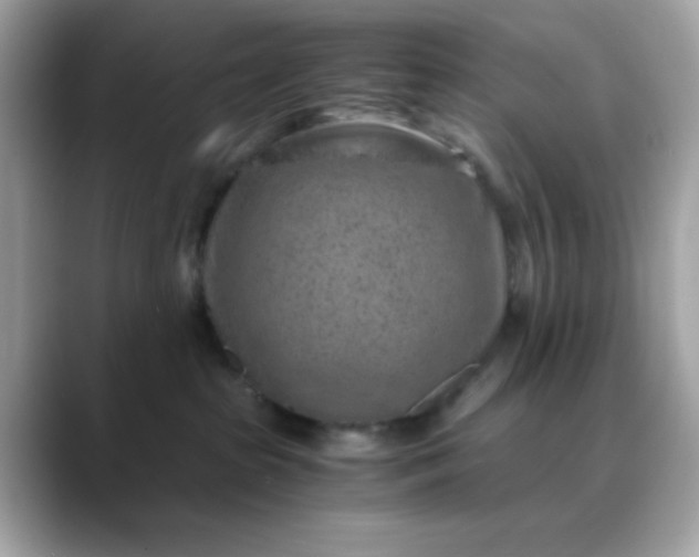 X0000088440285200706051253
