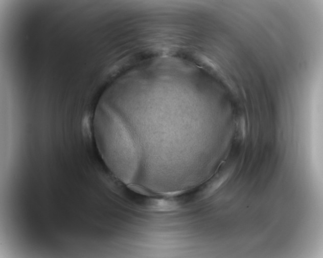 X0000088440286200706051254
