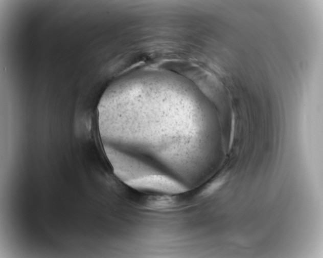X0000088440288200706051254