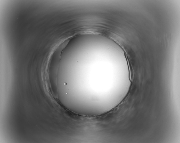 X0000088440289200706051253