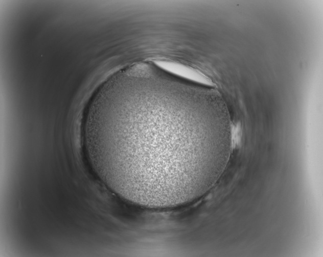 X0000088440291200706051253