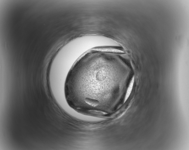 X0000088440293200706051253