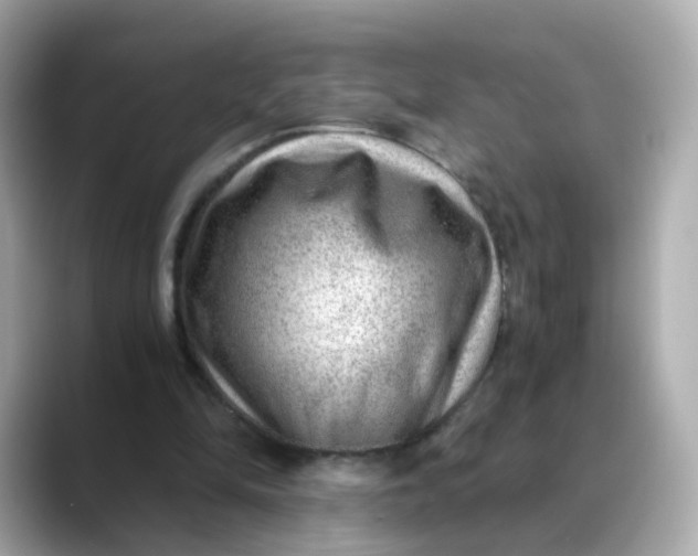 X0000088440294200706051253