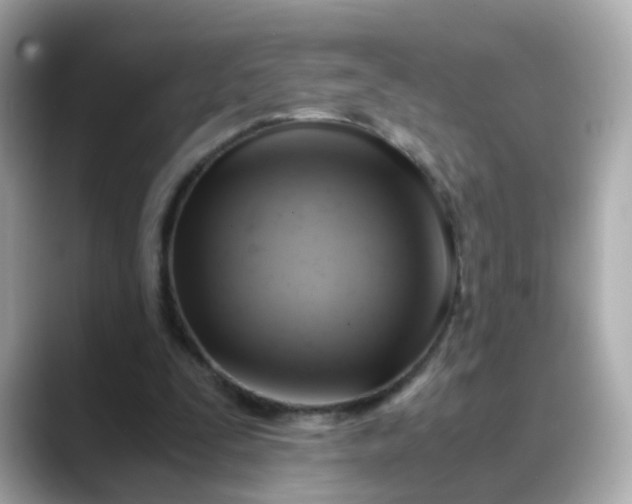 X0000088440295200706051253