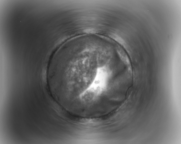 X0000088440297200706051253
