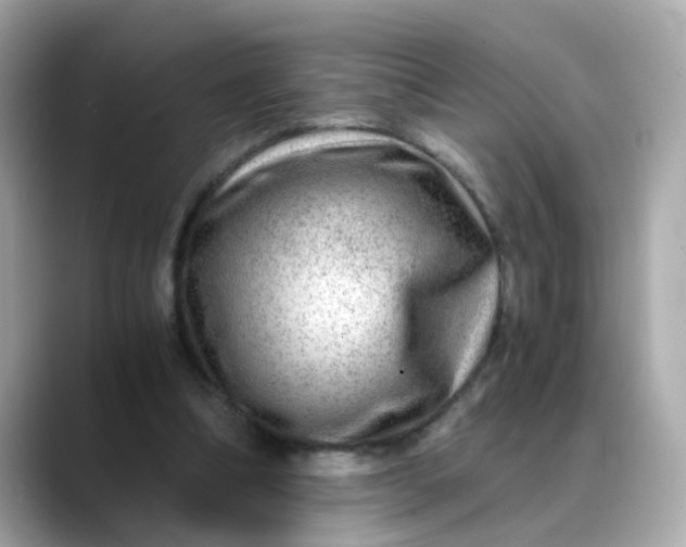 X0000088440298200706051253