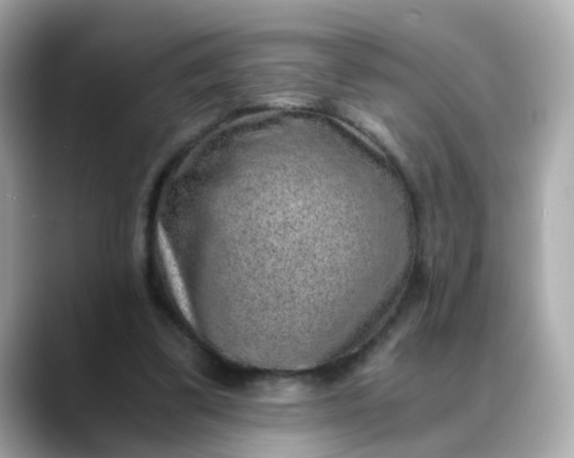 X0000088440299200706051253